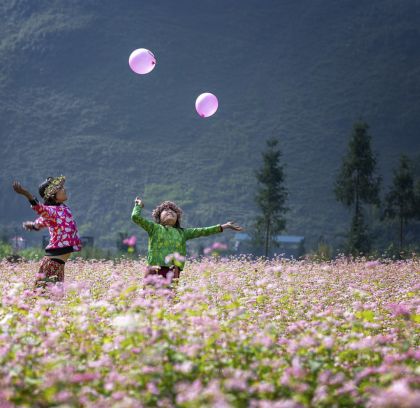 Vietnam 2 Week with Ha Giang Loop