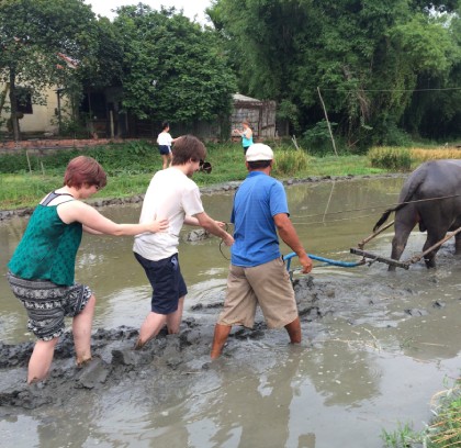 Vietnam North to South 9 Days